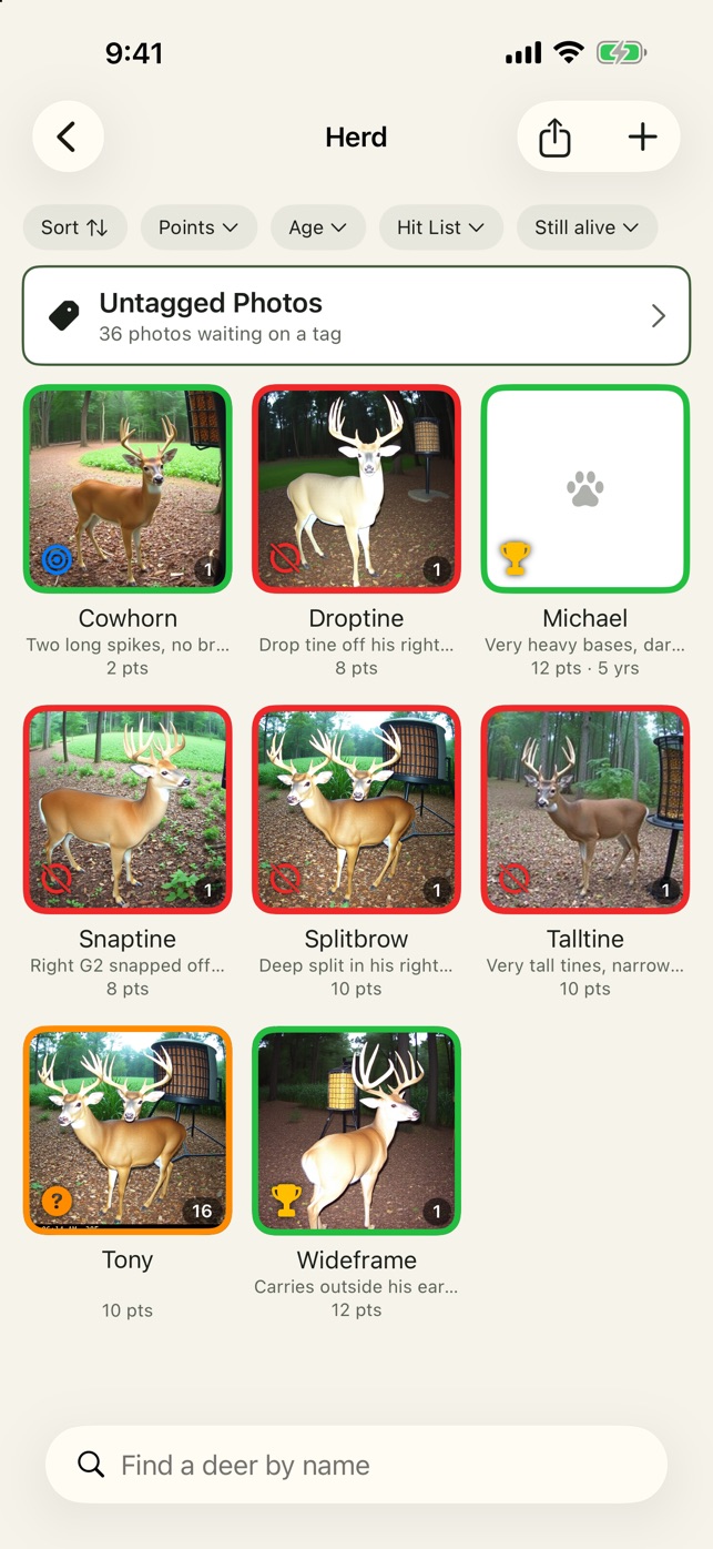 The Herd screen: a grid of bucks, each marked trophy, pass, or undecided